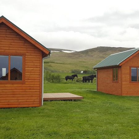 Hvammstangi Cottages Dış mekan fotoğraf