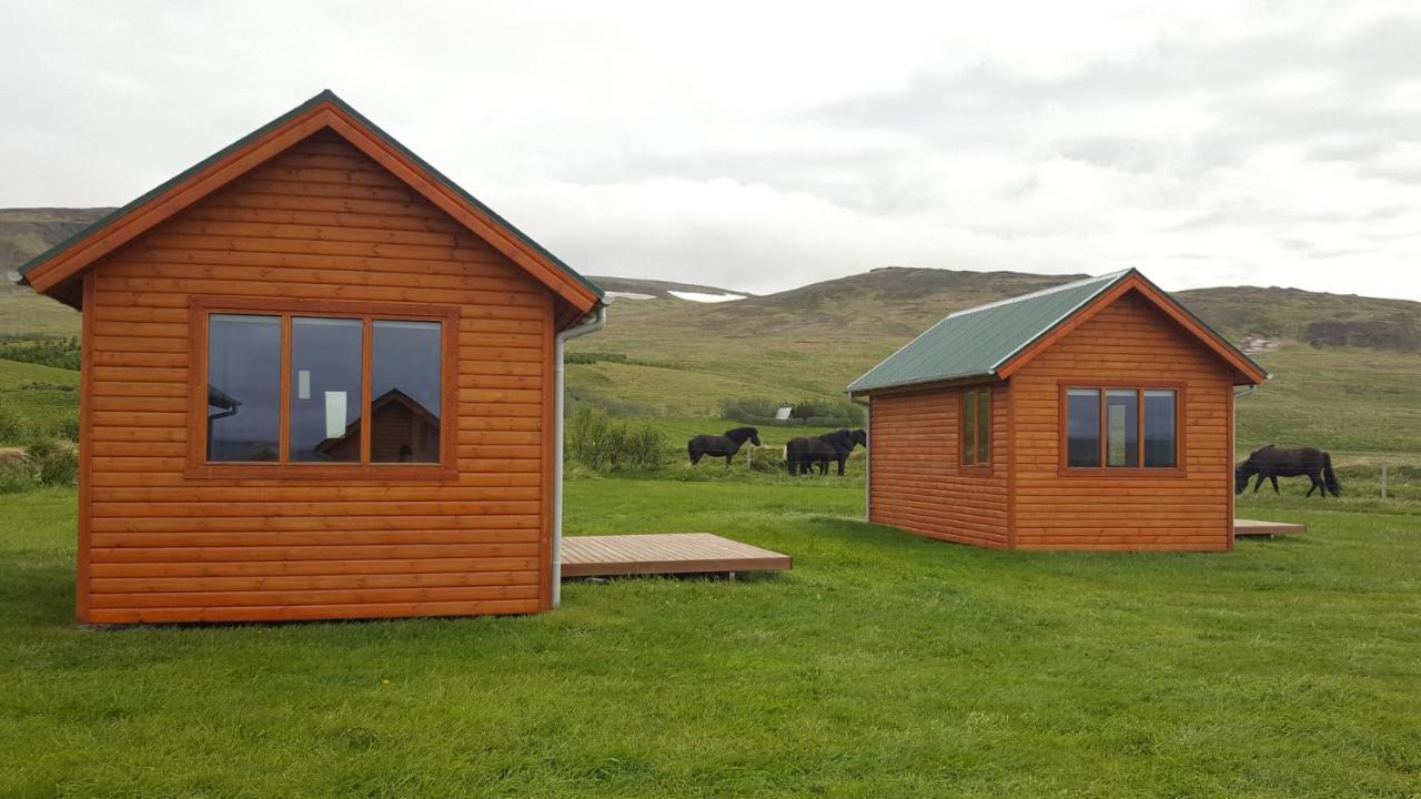 Hvammstangi Cottages Dış mekan fotoğraf