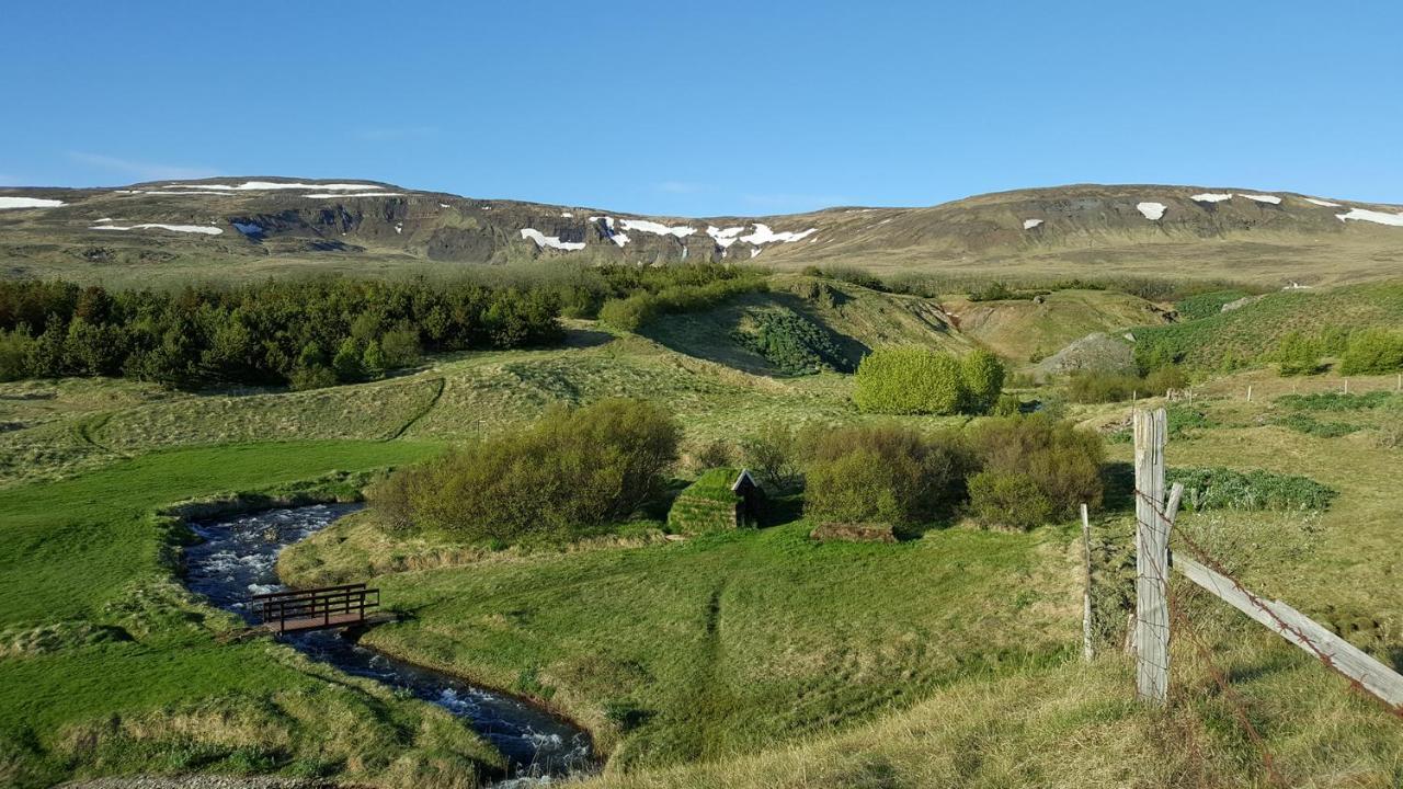 Hvammstangi Cottages Dış mekan fotoğraf